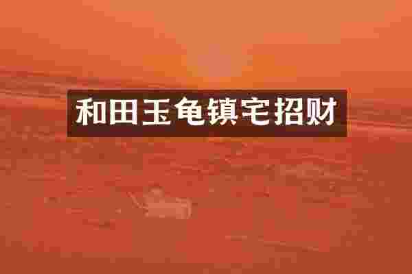 和田玉龟镇宅招财