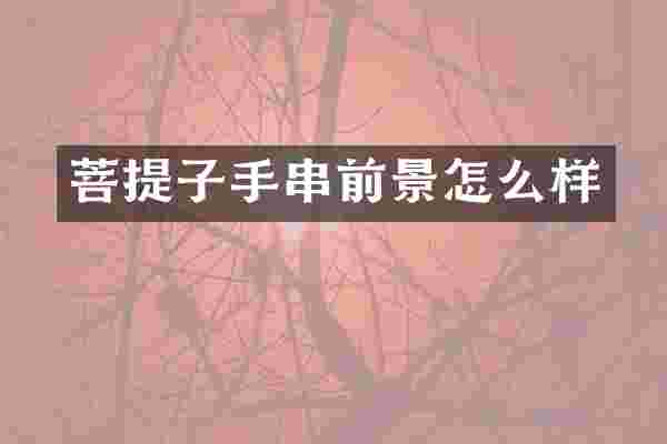 菩提子手串前景怎么样