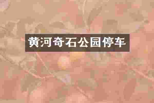 黄河奇石公园停车