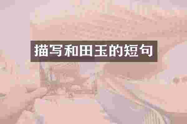 描写和田玉的短句