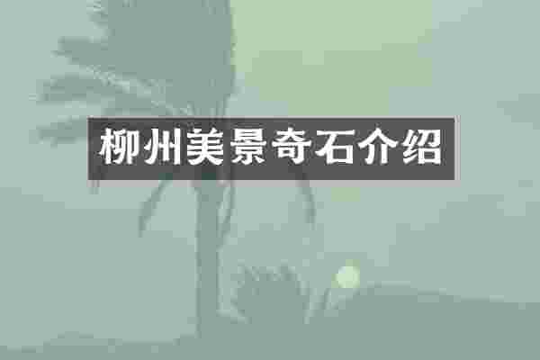 柳州美景奇石介绍