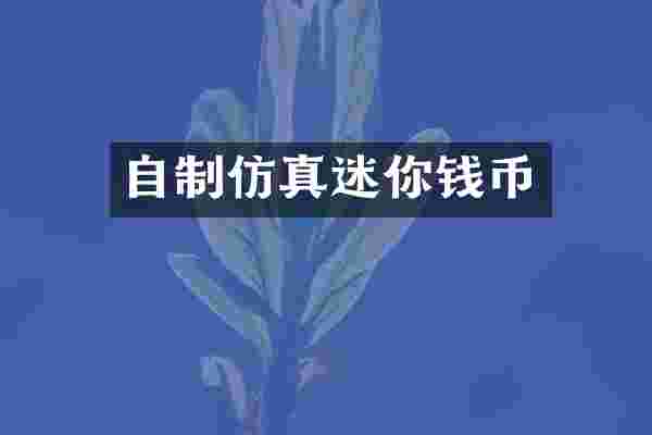 自制仿真迷你钱币