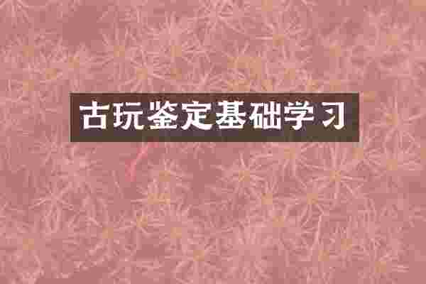 古玩鉴定基础学习