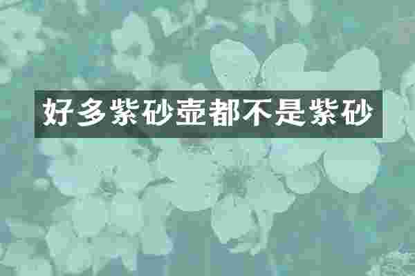 好多紫砂壶都不是紫砂