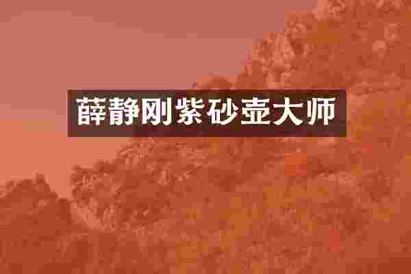 薛静刚紫砂壶大师