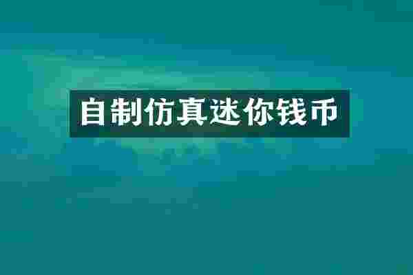 自制仿真迷你钱币