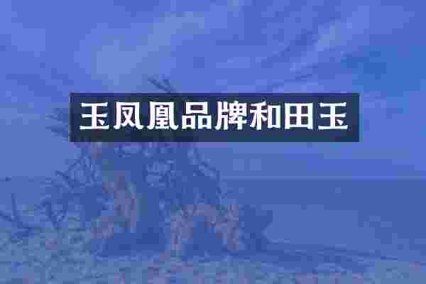 玉凤凰品牌和田玉
