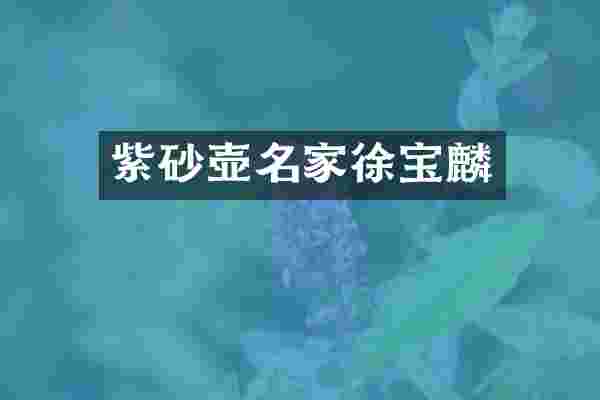 紫砂壶名家徐宝麟