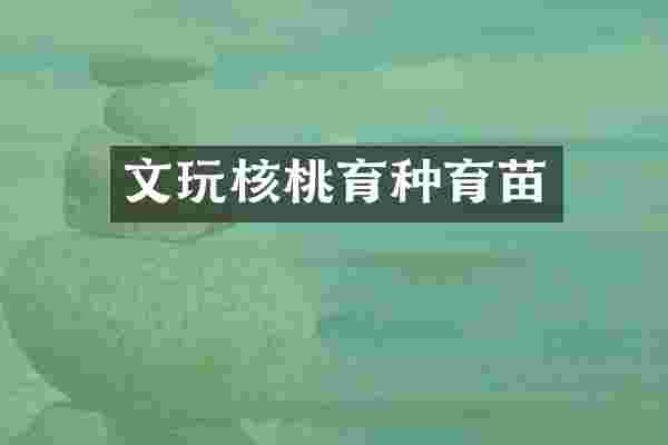 文玩核桃育种育苗