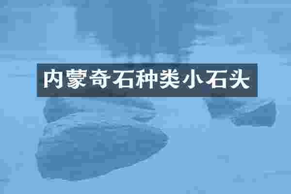 内蒙奇石种类小石头