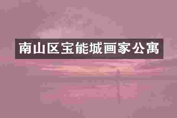 南山区宝能城画家公寓