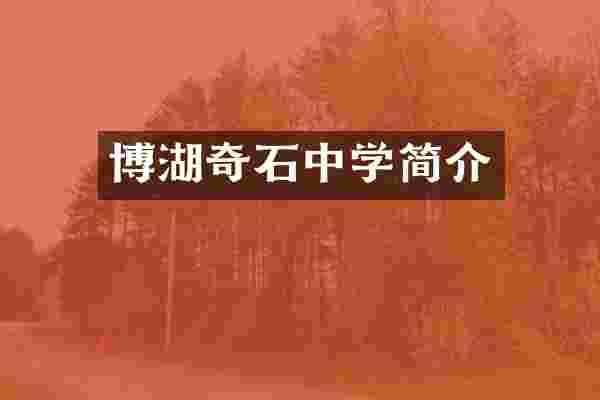 博湖奇石中学简介