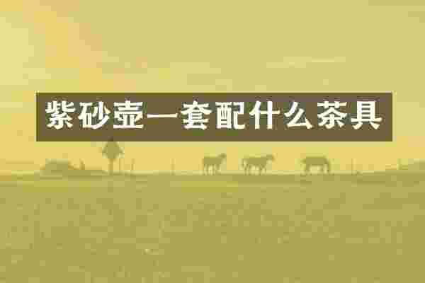 紫砂壶一套配什么茶具