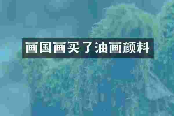 画国画买了油画颜料