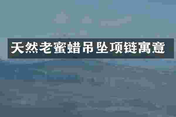 天然老蜜蜡吊坠项链寓意