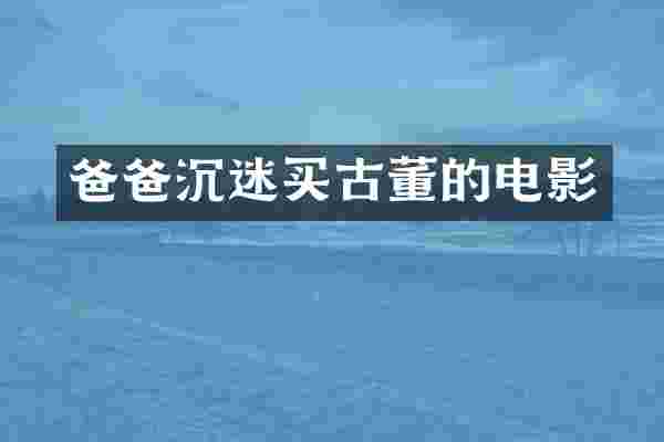 爸爸沉迷买古董的电影