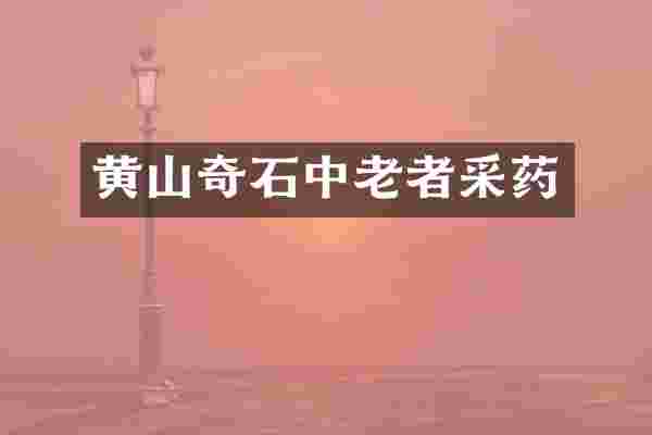 黄山奇石中老者采药