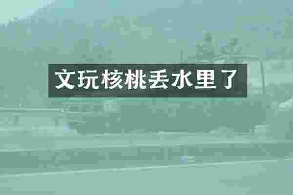 文玩核桃丢水里了
