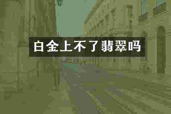 白金上不了翡翠吗