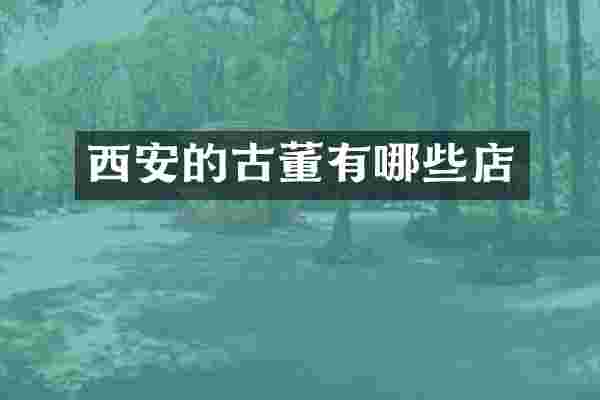 西安的古董有哪些店