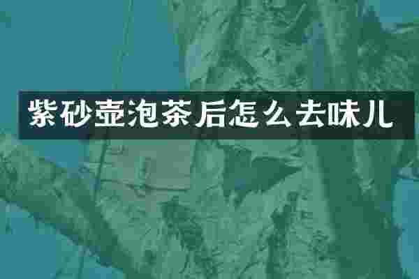 紫砂壶泡茶后怎么去味儿