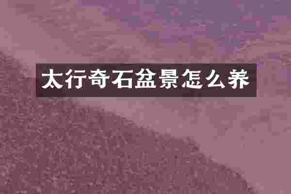 太行奇石盆景怎么养