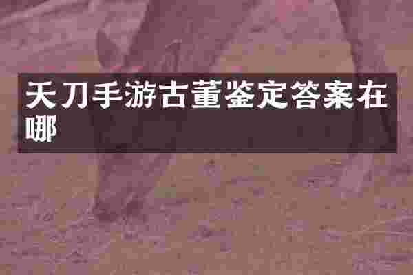 天刀手游古董鉴定答案在哪