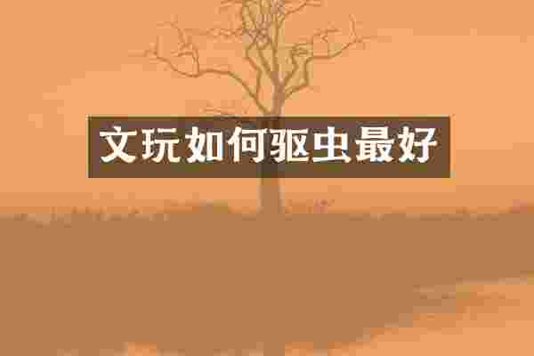 文玩如何驱虫最好