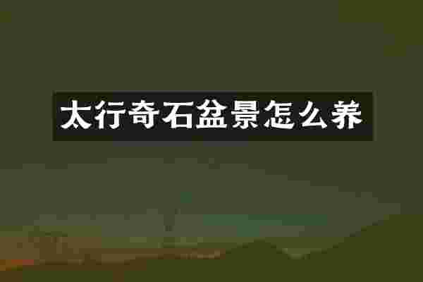 太行奇石盆景怎么养