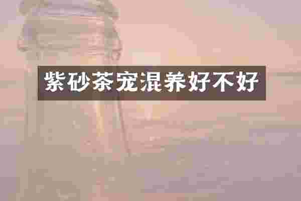 紫砂茶宠混养好不好