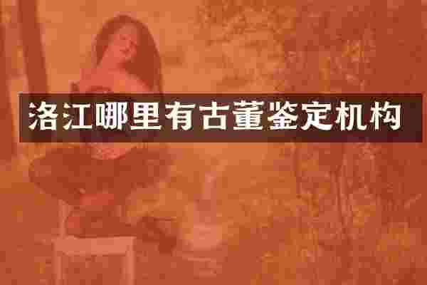 洛江哪里有古董鉴定机构