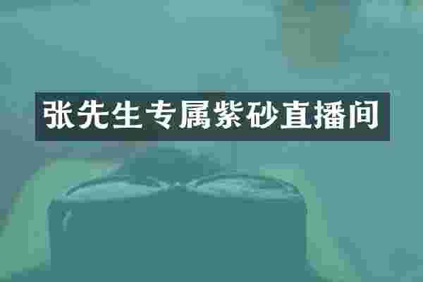 张先生专属紫砂直播间