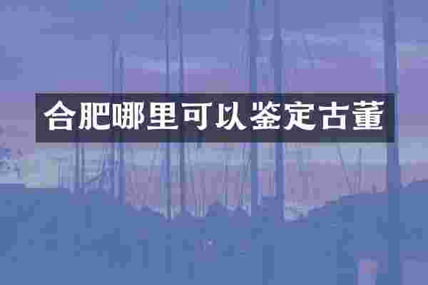 合肥哪里可以鉴定古董