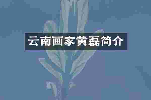 云南画家黄磊简介