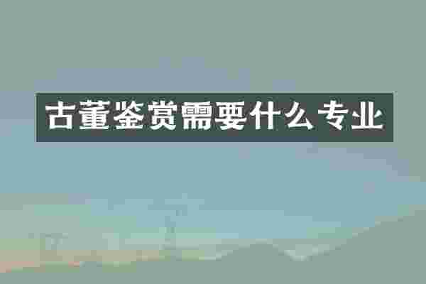 古董鉴赏需要什么专业