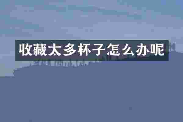 收藏太多杯子怎么办呢