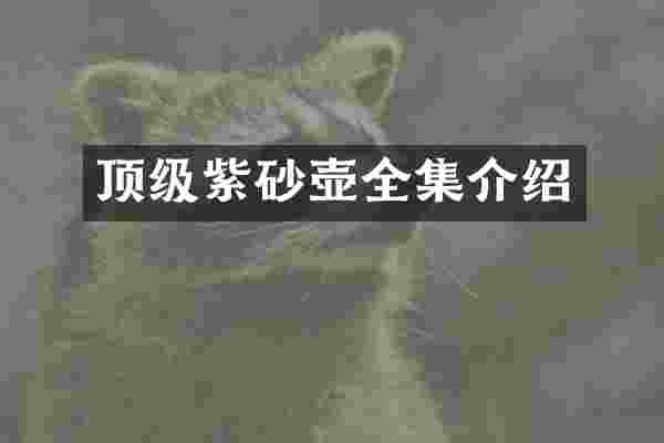 顶级紫砂壶全集介绍