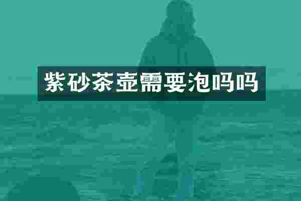 紫砂茶壶需要泡吗吗