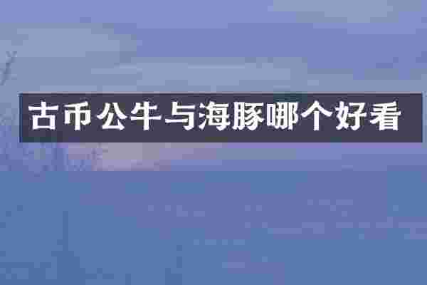 古币公牛与海豚哪个好看