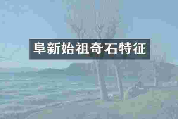 阜新始祖奇石特征