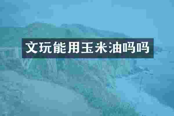 文玩能用玉米油吗吗