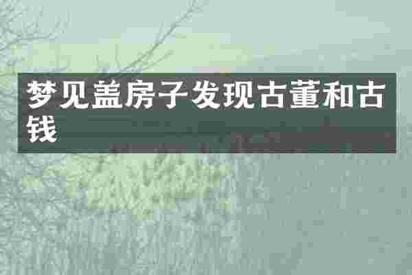 梦见盖房子发现古董和古钱