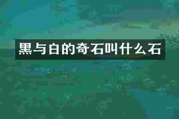 黑与白的奇石叫什么石