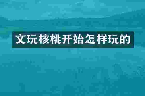 文玩核桃开始怎样玩的