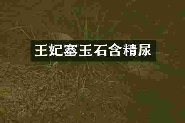 王妃塞玉石含精尿