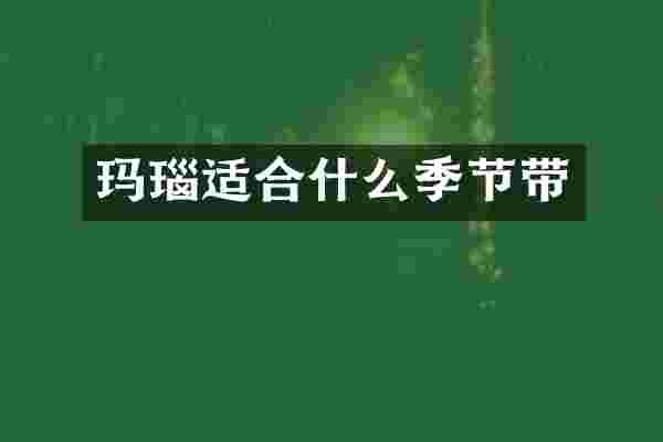 玛瑙适合什么季节带