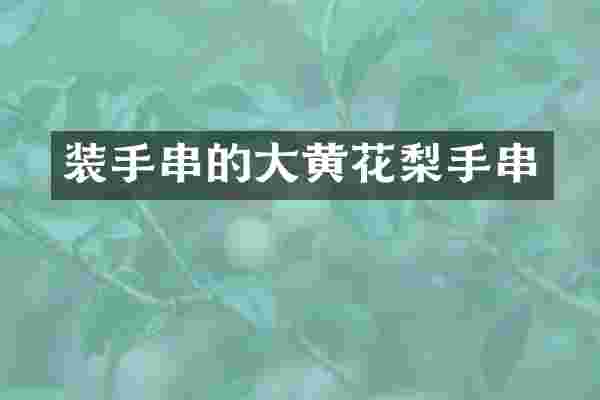 装手串的大黄花梨手串