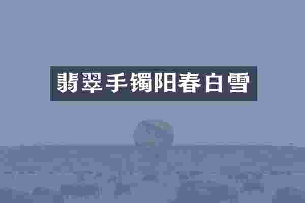 翡翠手镯阳春白雪