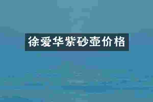 徐爱华紫砂壶价格