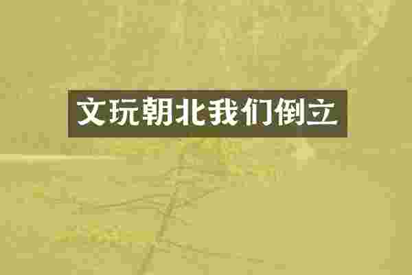文玩朝北我们倒立